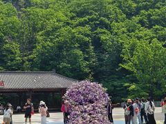 -丹东凤凰山景区