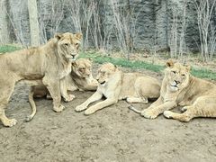 -北京野生动物园