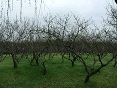 android_upload_pic-蜀冈西峰生态公园