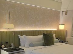 -新加坡文华东方酒店