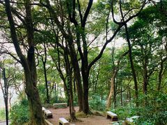 -广州市帽峰山景区