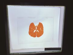 -生命奥秘博物馆