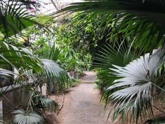 -呀路古热带植物园