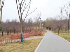-洨河生态公园