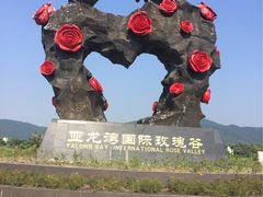 -亚龙湾国际玫瑰谷