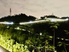 -板樟山森林公园