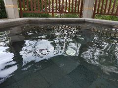 -凤翔首邑温泉度假村