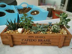 -A+匠心DIY手工坊·首饰·微景观