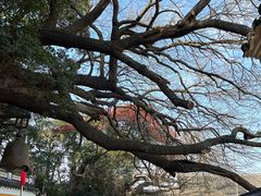 -普陀山慧济禅寺