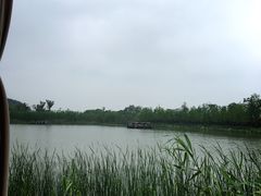 -品渔味湖鲜馆(拈花湾店)