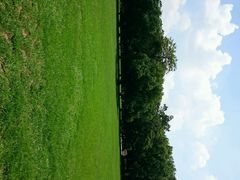 android_upload_pic-中山大学学者灵芝(园南路店)