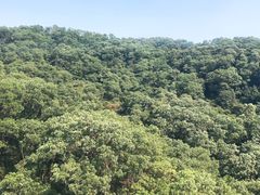 -白云山索道-售票处