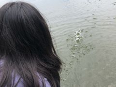 -石炮台公园