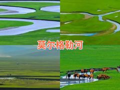 -呼伦贝尔大草原