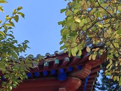 -北京鲁迅博物馆(北京新文化运动纪念馆鲁博馆区)