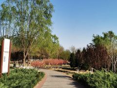 -永定河休闲森林公园