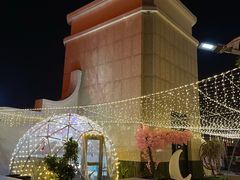 -城南老友羊蝎子火锅(花乡奥莱店)
