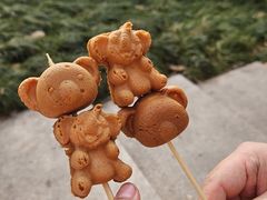 -红山森林动物园