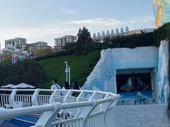 -海合安青岛极地海洋公园