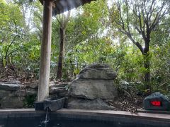 -腾冲洞山温泉村
