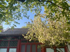 -元大都城垣遗址公园