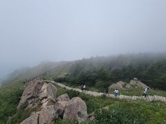 -野三坡百草畔景区