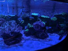 -上和臻品中国菜(花园街店)