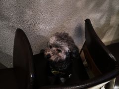 -游园觅食记夜市·小龙虾大排档