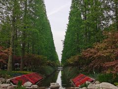 -东平国家森林公园