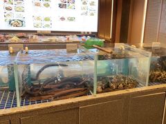 水产区-船歌·鱼水饺青岛菜(闽江二路店)