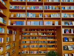 -朵云书院(滴水湖店)