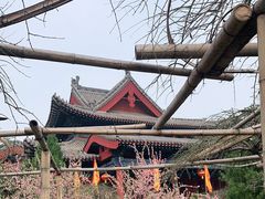 -大槐树寻根祭祖园