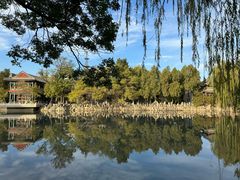 -莲池书院博物馆