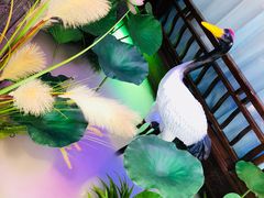 -韵秋荷(宝山龙湖天街店)