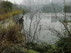-重庆彩云湖湿地公园