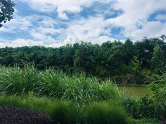 -白鹭湾湿地公园