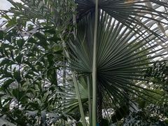 -济南植物园