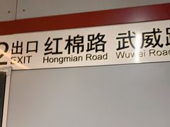 -桃浦新村(地铁站)