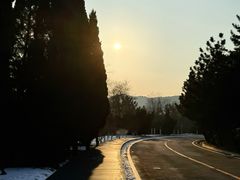 -棒棰岛宾馆景区