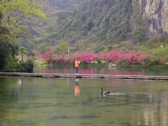-靖西鹅泉风景区