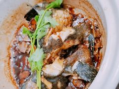 招牌香锅龙胆斑-鑫鸿达·海鲜闽菜热炒小馆(中山路店)