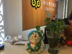 -猫头鹰照相馆(福田店)