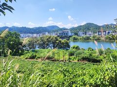 -婺源月亮湾