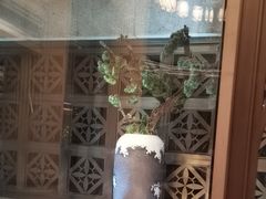 -浅深(世茂滨江精品店)