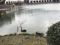 -上海怡沁园度假酒店