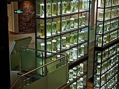 -广东中医药博物馆