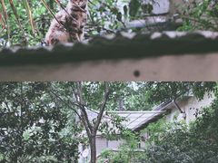 -颐和路民国时期公馆风貌区