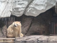 -海合安武汉极地海洋公园
