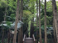 -同里国家湿地公园