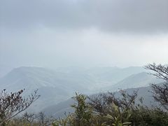 -大围山国家森林公园